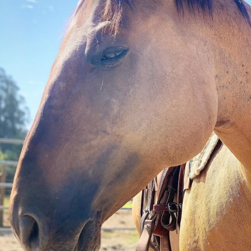 Photo post from __amber_lydic__.