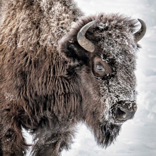 Photo post from taucktravel.