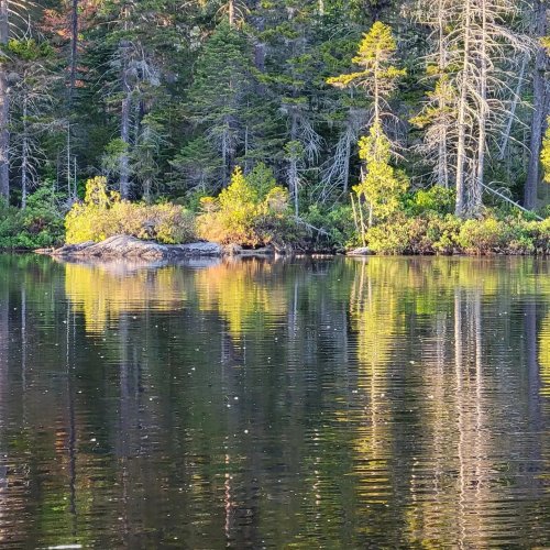 Photo post from reddogguideservice.