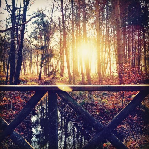Photo post from visitoirschot.