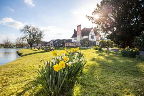 Photo post from themoathouse.