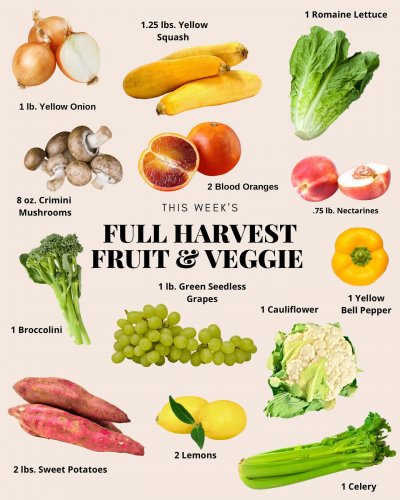 Photo post from farmbox_arizona.