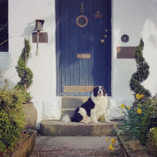 Photo post from westusklighthouse.