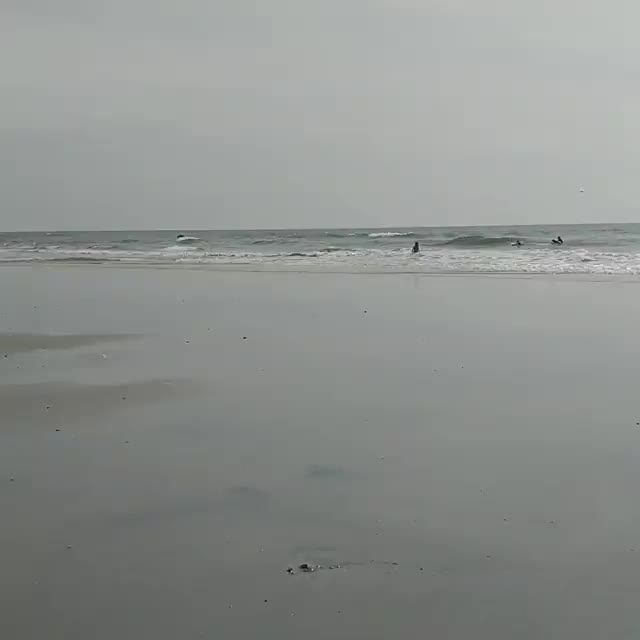 Video post from water_salad.