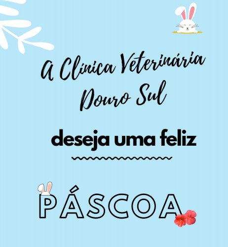 Photo post from clinica_veterinaria_dourosul.