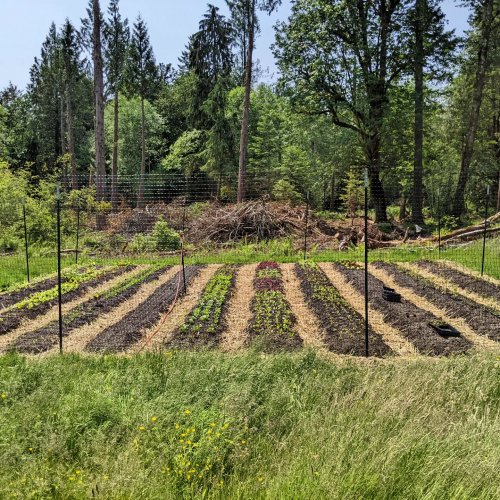 Photo post from hungryhollowfarm.