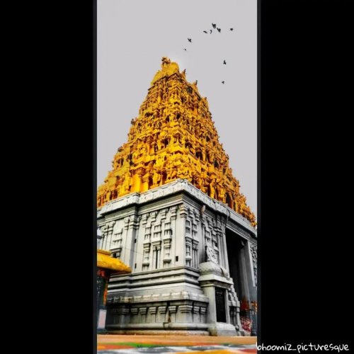 Photo post from vitrendz_chennai.
