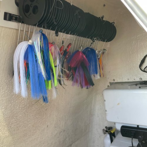 Photo post from ejs_fishing_charters.