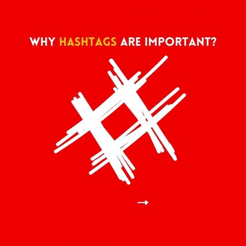 Carousel post from counterpoint_digital.