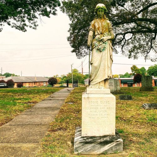 Photo post from theheartofnc.
