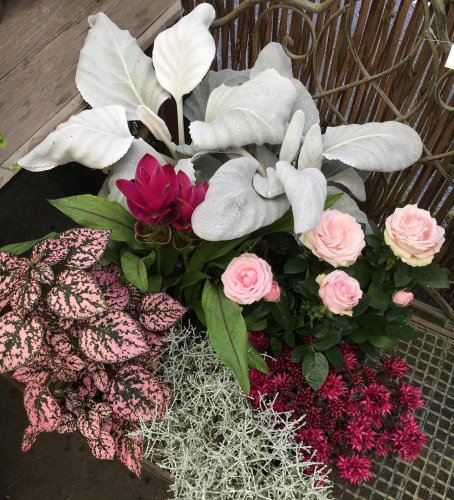 Photo post from blomsterborsen.
