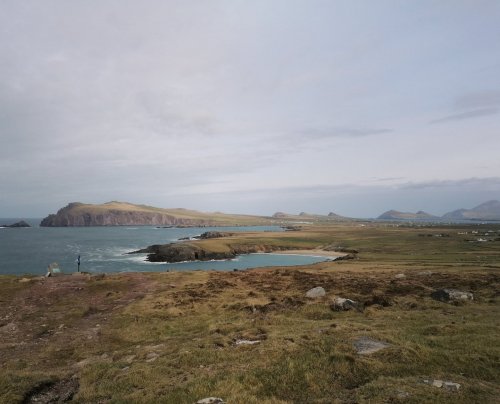 Photo post from dinglepeninsulatourism.