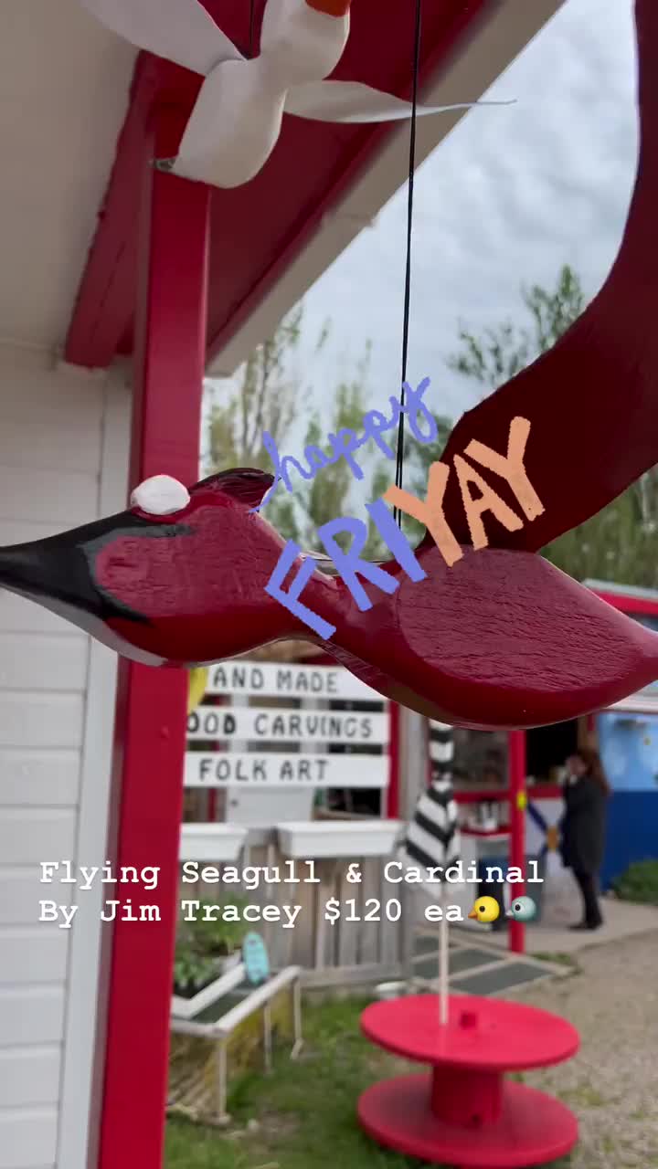 Video post from freyaetthor.