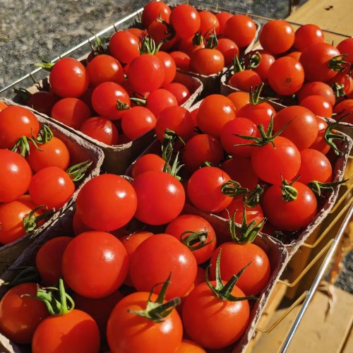 Photo post from hungryhollowfarm.