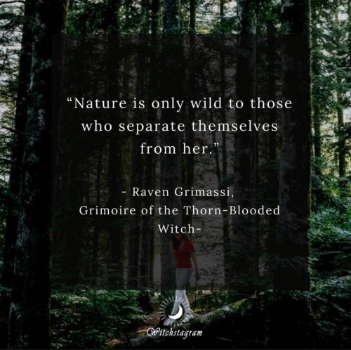 Photo post from wildwitchesmagic.