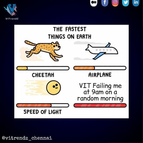 Carousel post from vitrendz_chennai.