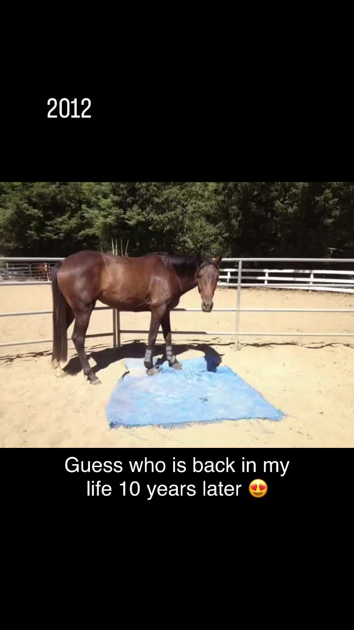 Video post from __amber_lydic__.