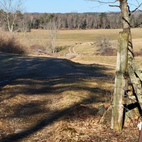 Carousel post from reddogguideservice.