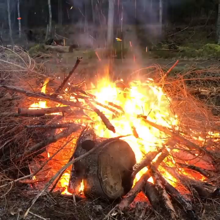 Video post from wildwitchesmagic.