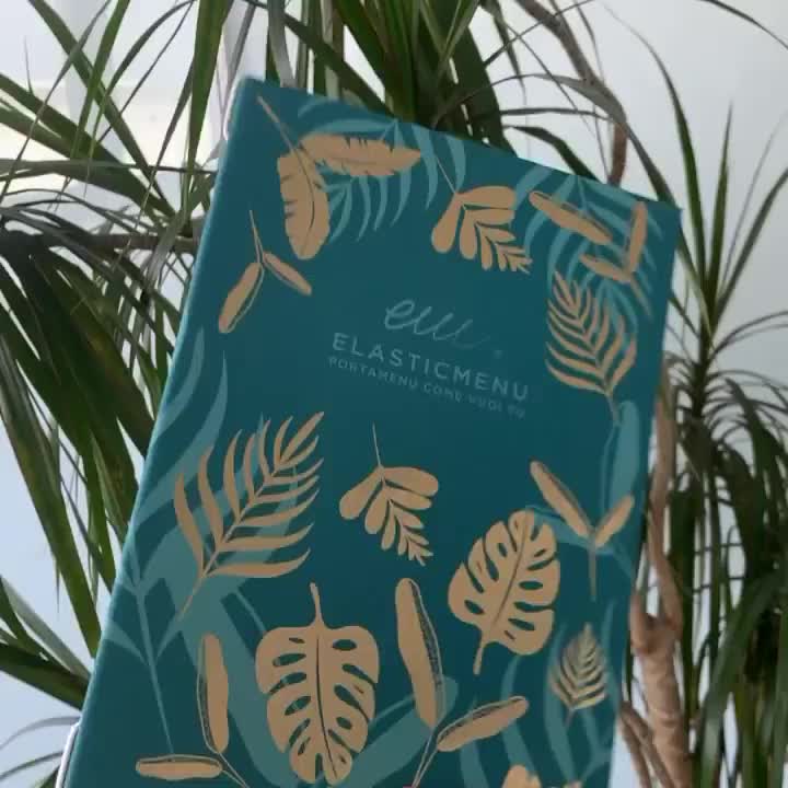 Video post from elasticmenu.