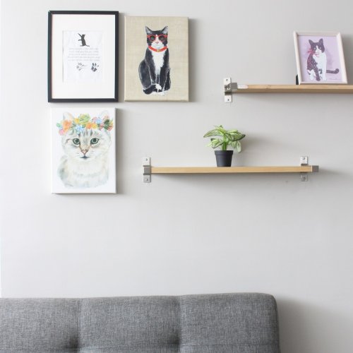 Photo post from medicalpettj.