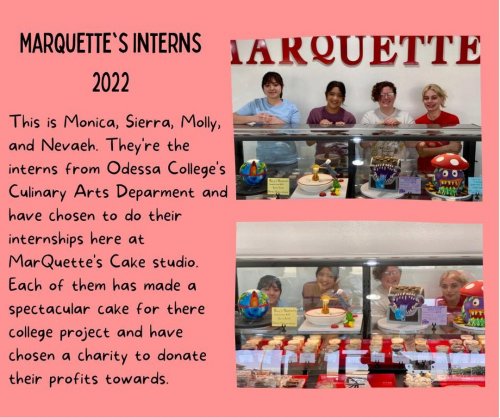 Photo post from marquettescakestudio.