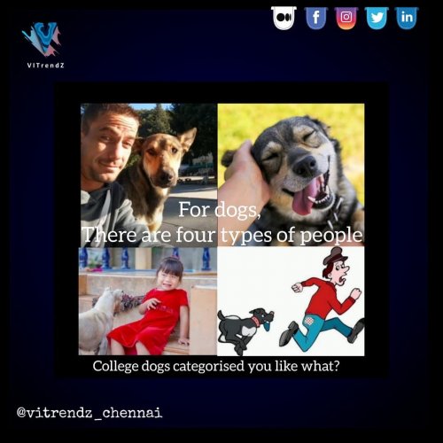 Photo post from vitrendz_chennai.