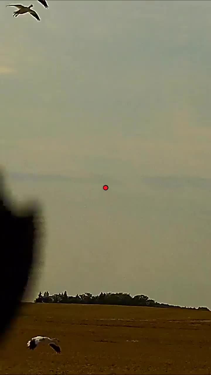 Video post from northernskiesoutfitters.