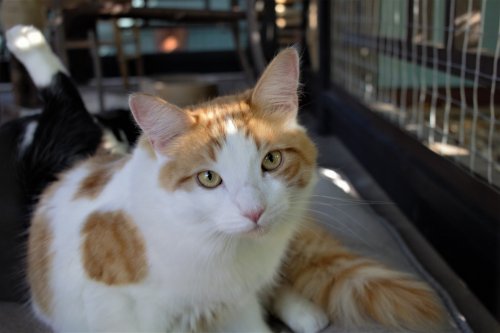 Carousel post from thepdxtoday.