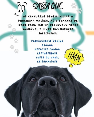 Photo post from clinica_veterinaria_dourosul.