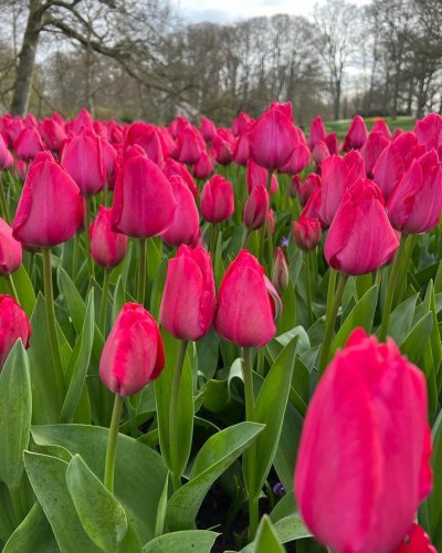 Carousel post from taucktravel.