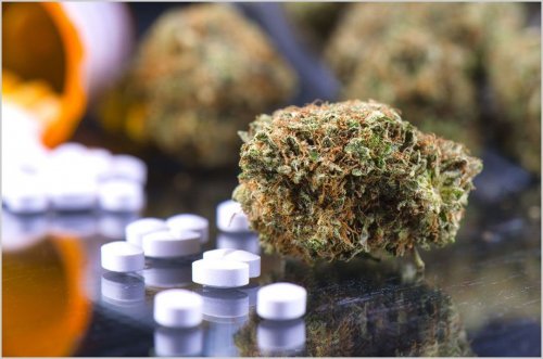Photo post from kynorml.