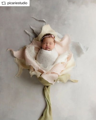 Photo post from babybonnet_backdrops.