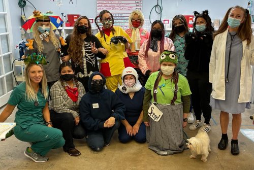 Photo post from familyanimalhospitalcm.