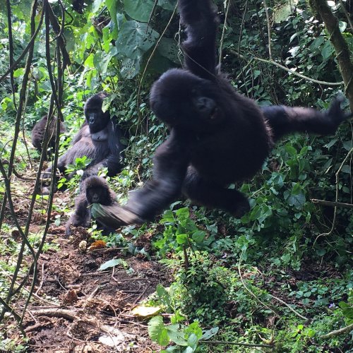 Carousel post from taucktravel.