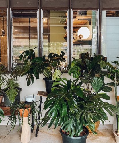 Photo post from crane_living.