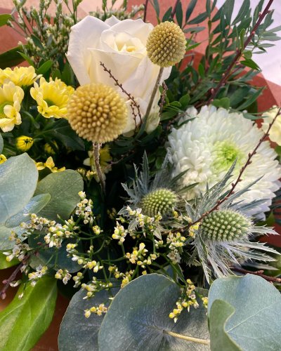 Photo post from blomsterborsen.