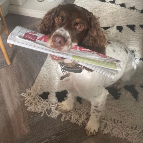 Photo post from bramleynewspaper.