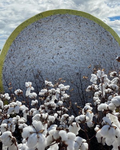 Photo post from howefarming.