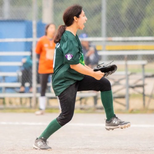 Photo post from sisterhoodsoftball.