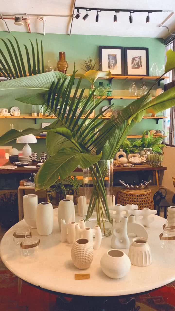 Video post from crane_living.