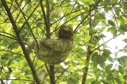 Photo post from taucktravel.