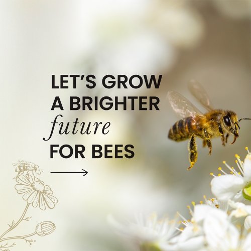 Carousel post from comvita_nz.