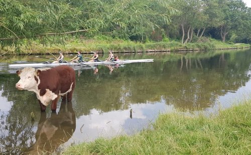 Carousel post from queensboatclub.