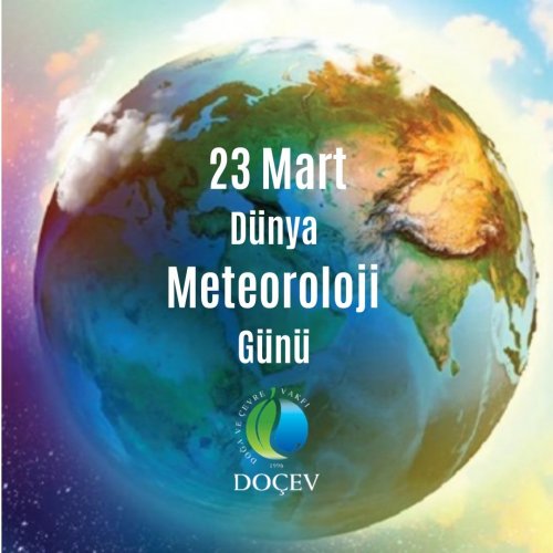 Photo post from dogavecevrevakfi.
