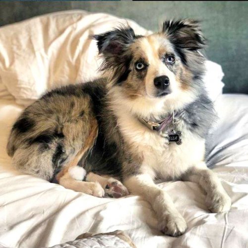 Photo post from hotelonnorth.