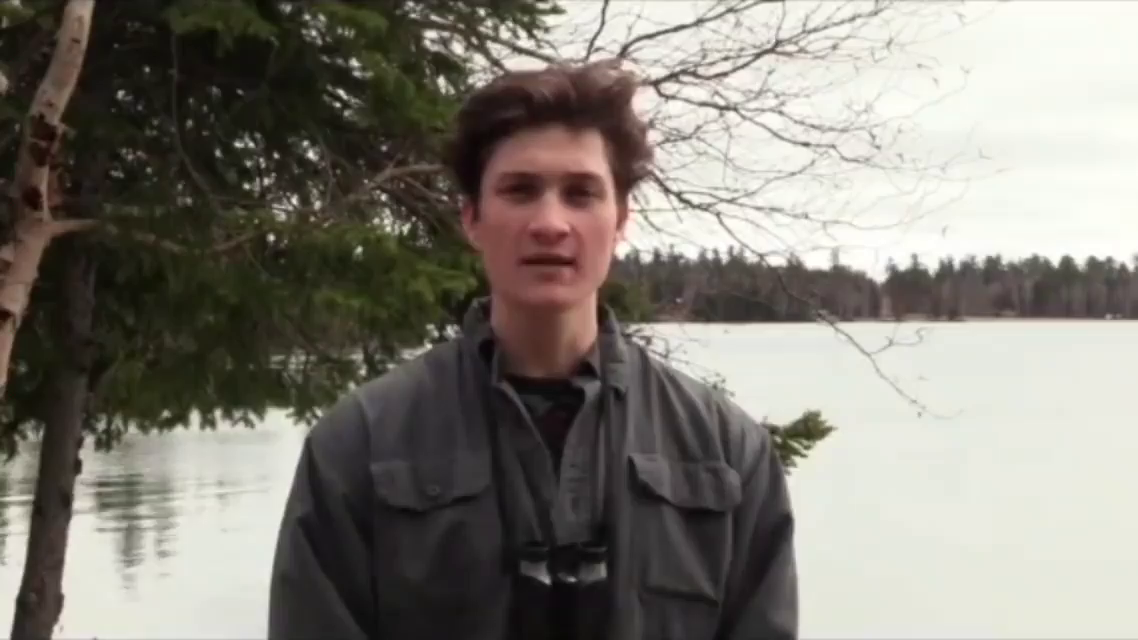 Video post from 101experiencescneo.