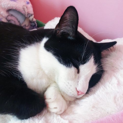 Photo post from margaritabloom.