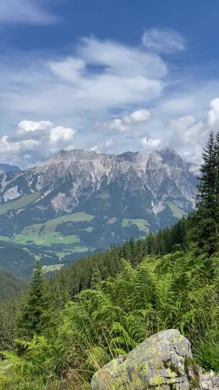 Video post from masteryourbusinessmoves.nl.