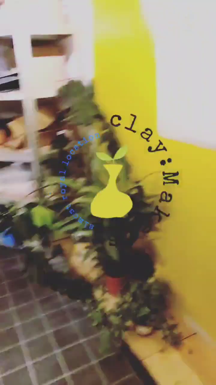 Video post from claymakers.royal.